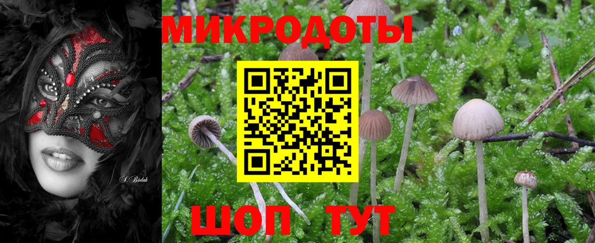 Псилоцибиновые грибы MAGIC MUSHROOMS Полевской