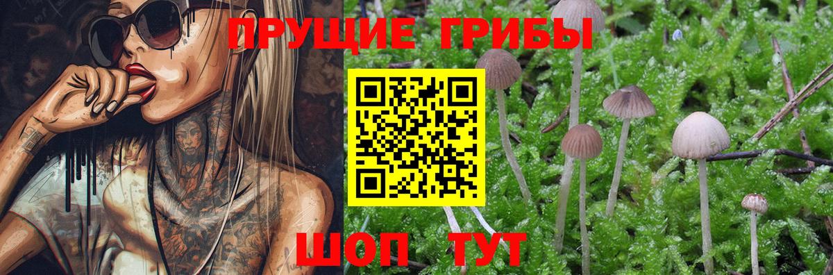 Галлюциногенные грибы GOLDEN TEACHER  Вход с VPN  Полевской 